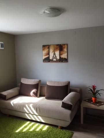 Appartement U Dzieciola à Zwierzyniec Extérieur photo